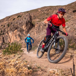 Koszulka Endura SingleTrack długi rękaw