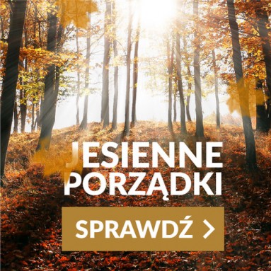 Jesienne porządki w sklepach Bike Atelier, sprawdź nowe ceny